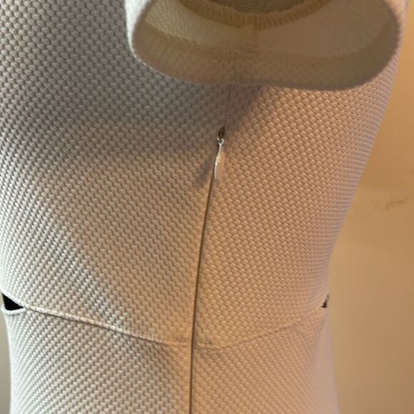 Express BodyCon Dress - Picture 7 of 11